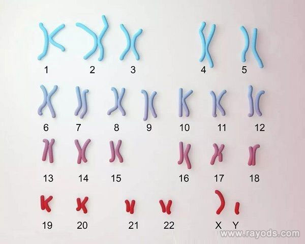 非整倍体胚胎是什么意思？非整倍体胚胎能移植吗？