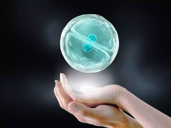 移植冻胚HRT是什么方案?hrt方案多久移植