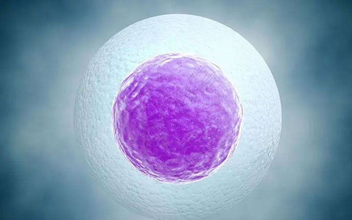 试管答疑:试管婴儿常见问题之取卵那些事儿！