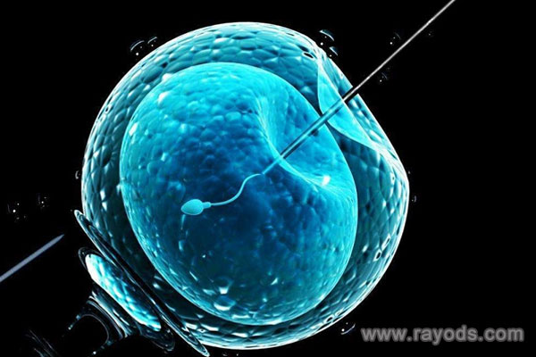 网上说取卵手术和移植手术很痛很伤身，是真的还是假的？