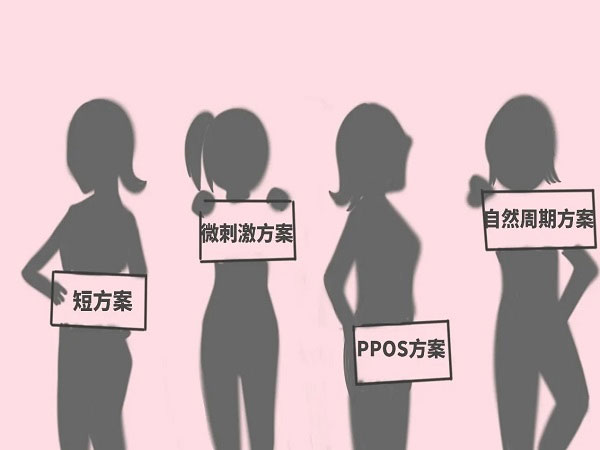 微刺激与ppos方案真不同,哪个方案取的卵子数量更多吗?