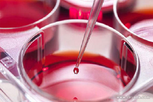 人绒毛膜促性腺激素是什么？有什么作用？