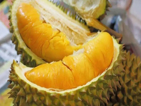 试管促排吃榴莲的好处,可促进卵泡发育?