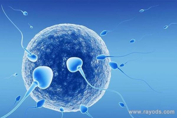 做试管婴儿怎样才能更省时间更省钱？