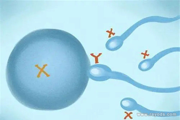 怎样生男孩的几率高一些?生男孩几率的六个方法