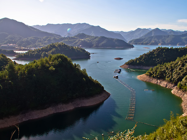 2022丽水试管婴儿医院选择指南（附费用和成功率预测）