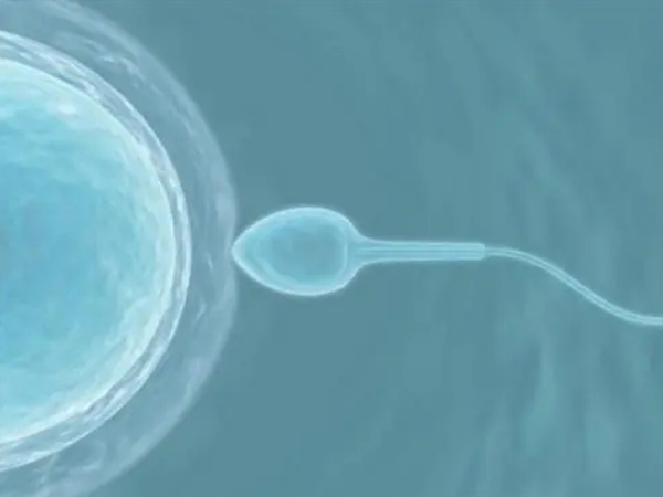 国内冷冻精子有条件,精液常规检查活力不过关可不行