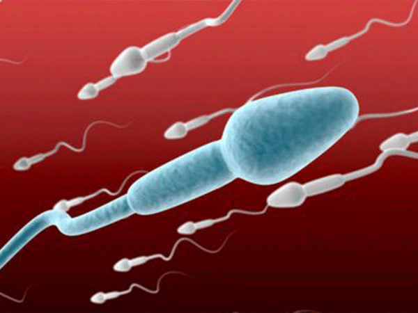 精子头部有缺陷并不严重，不超过这个临界百分值都算正常