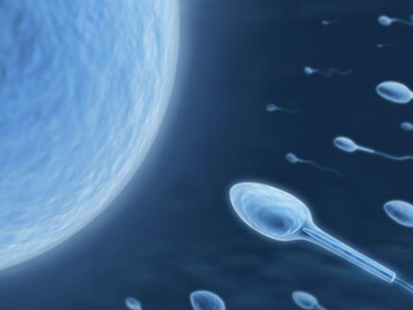 精子头部缺陷原因解析,不注意个人卫生的男性要注意了