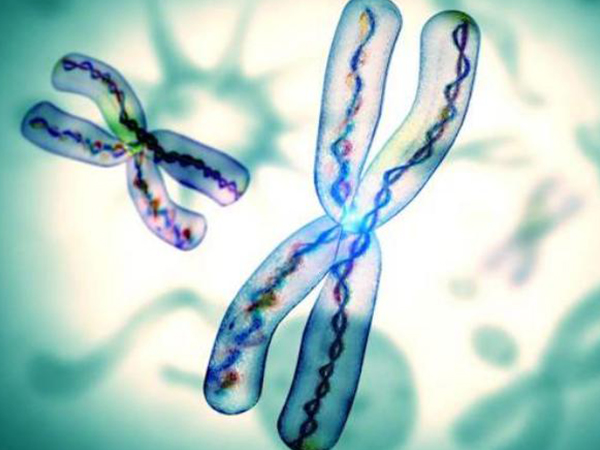 浅谈唐筛21和18的高风险症状,哪个更危险一目了然