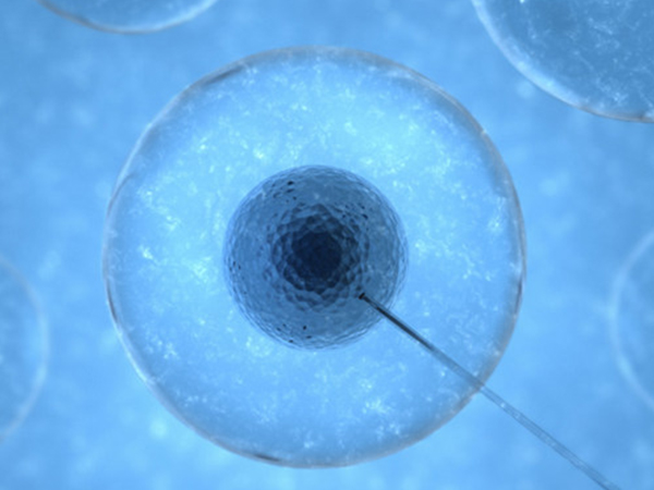 国内靠谱供卵机构名单公示，公立三甲或成最佳选择