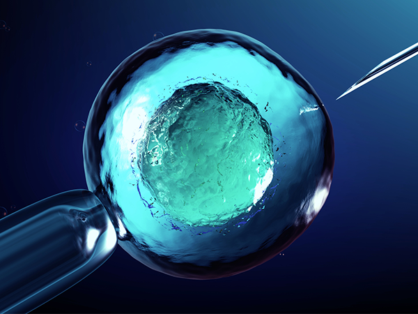 剖析很多女性供卵不成功的原因，这四点很容易被忽视