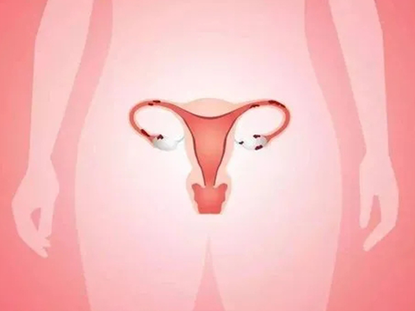 取卵手术费明细表在这里，麻醉+无痛不超5000元