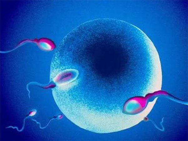 供精人授失败常见原因汇总，做好防范一次成功也不难