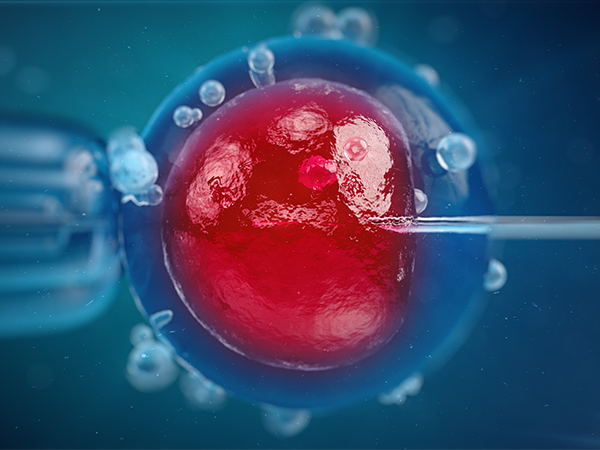 成功率真没那么低！45岁借卵试管为高龄生育带来希望