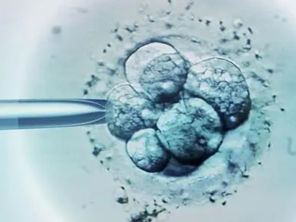 分享取卵前防止腹水的三个办法,别再傻傻地只喝冬瓜排骨汤了