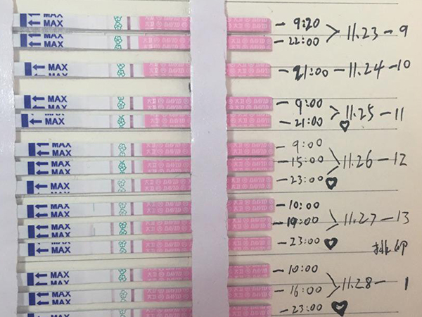 排卵试纸强阳同房最强攻略，当天还是隔天一文说清