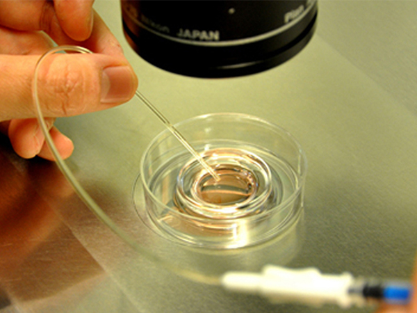 选择私人供卵机构要当心，无资质、不合法真的不可靠