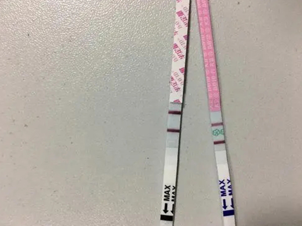 排卵试纸真能测早孕？深扒原理让你知道这真不靠谱