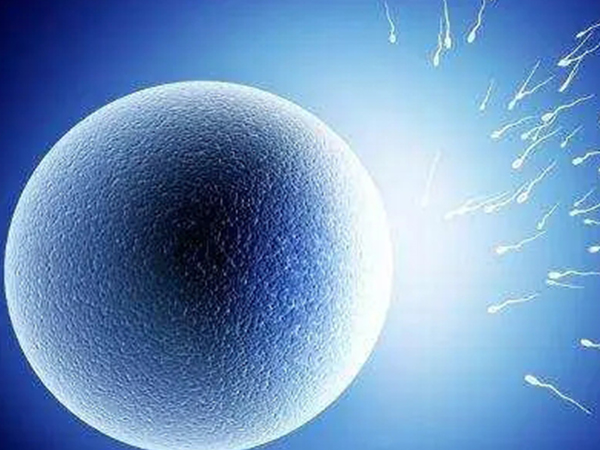 用别人精子做试管价格真不贵，选择公立医院购精也就几千元