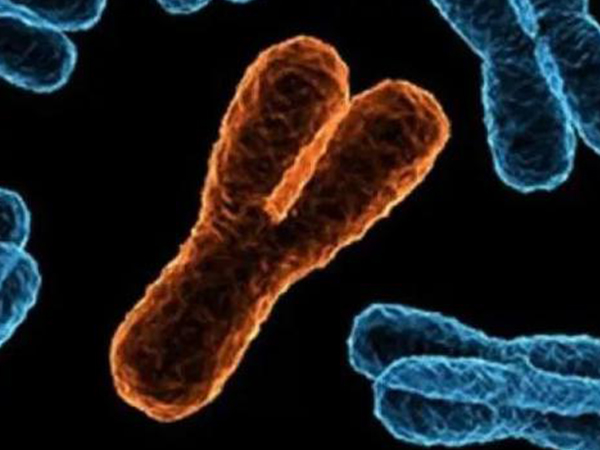 筛选y精子生男孩面临新阻碍，筛选准确率或成难点