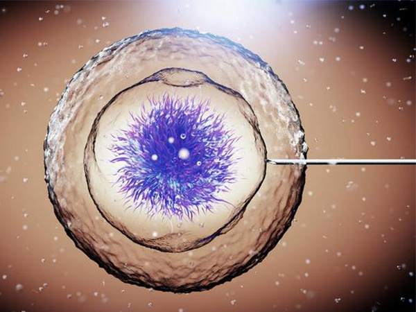 国内2021三代试管价格公示，看完就知道该准备多少钱了