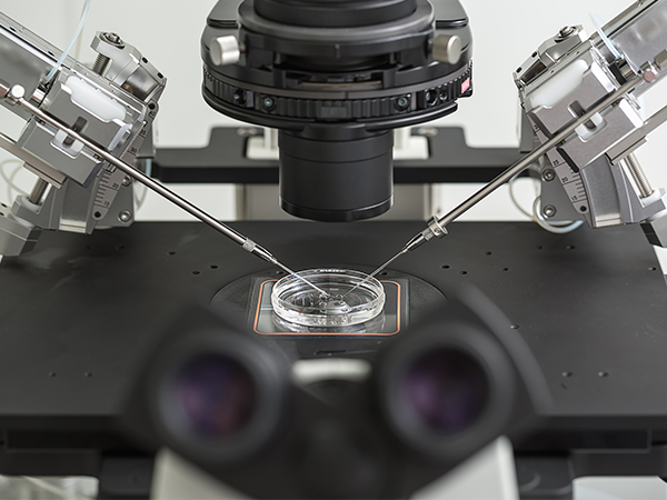 泰国供卵试管婴儿价格不便宜,15万通常只是起步费用