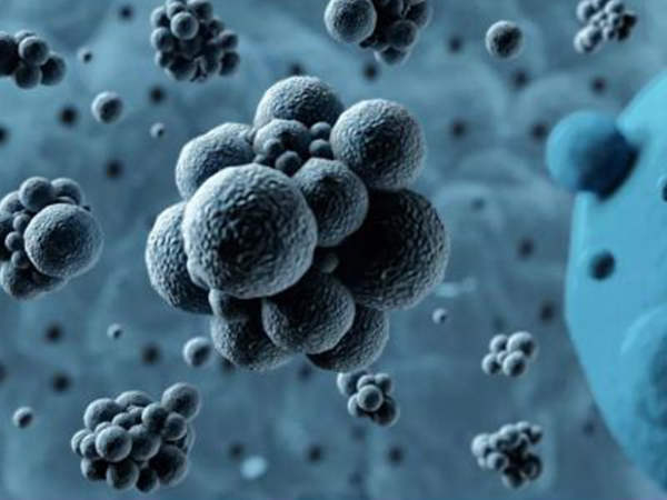 带你解读eb病毒抗体5项报告，全是阳性真的不可怕