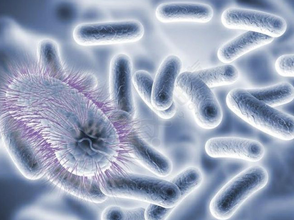 细数女性感染hpv早期症状，生殖器有丘疹、红斑要警惕