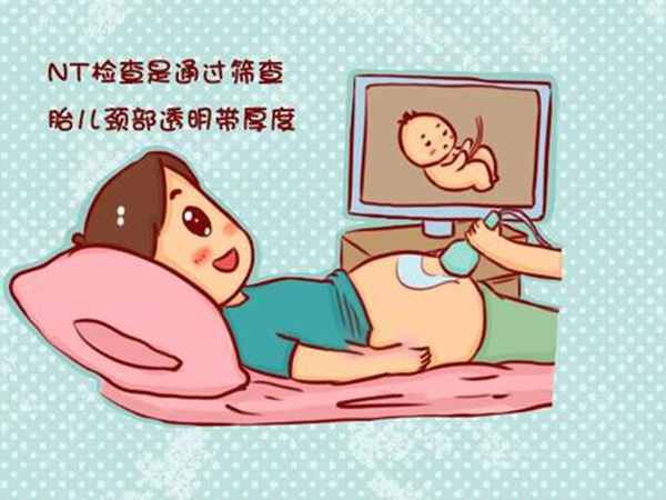 NT单子上的字母竟能看男女，这些标志表示性别早已注定