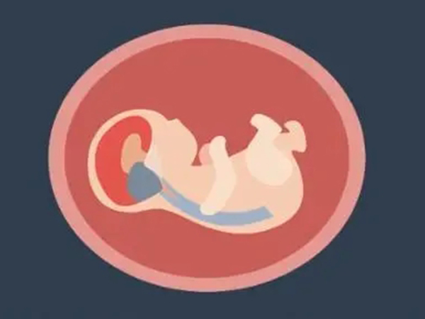 男宝女宝特点各不同，12周nt值看胎儿性别真的准