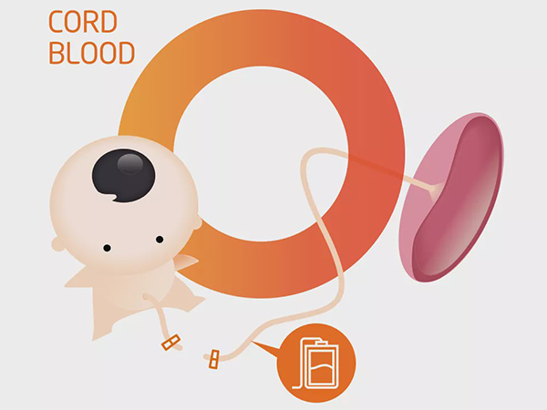脐带血保存费用可不低，难怪有人说“已经证实是个商业骗局“