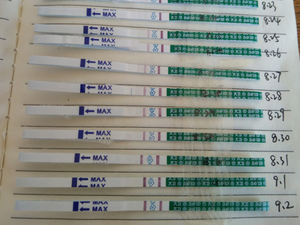 一张验孕棒图片告诉你，假阳性和真阳性有这些区别