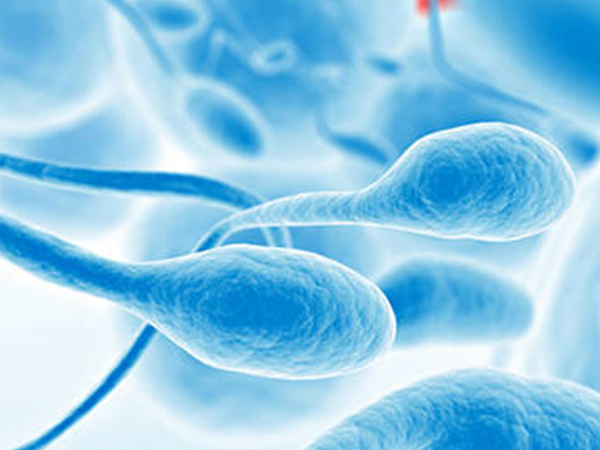 解读女性抗精子抗体新标准，一般超过这个数就难怀孕