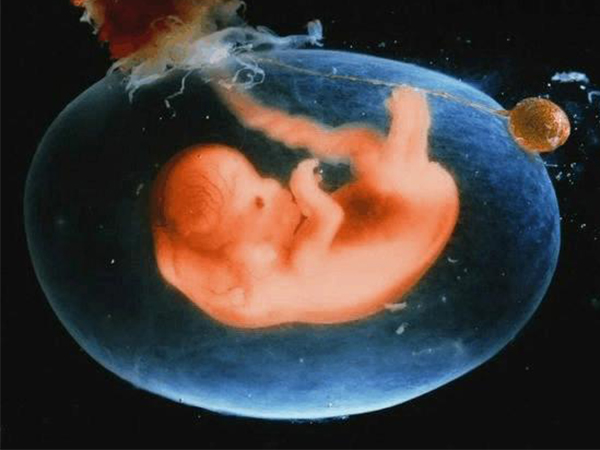 上一胎预知下一胎性别有妙招，这几种看男女的办法有点准