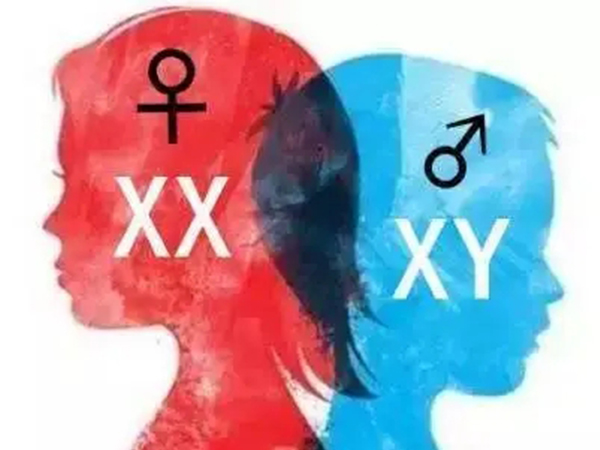 揭秘头胎时辰决定二胎性别的说法：看看就行别当真