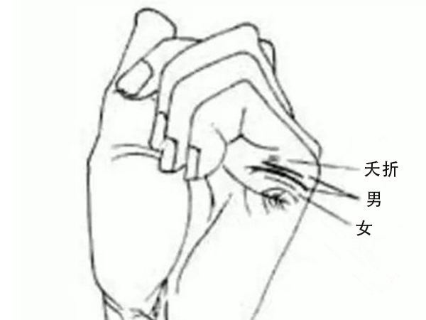 右手握拳也能测男女，教你利用手线确定准二胎的性别