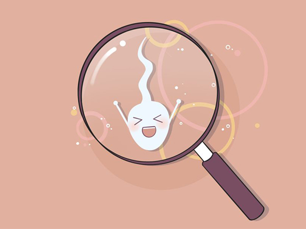 盘点那些能增加y精子数量的食物，效果最快的竟是它？