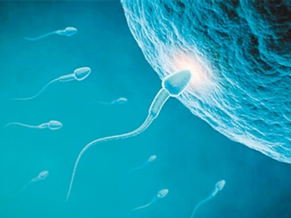 吃药能让男性只排y精子？营造出碱性环境还真可行