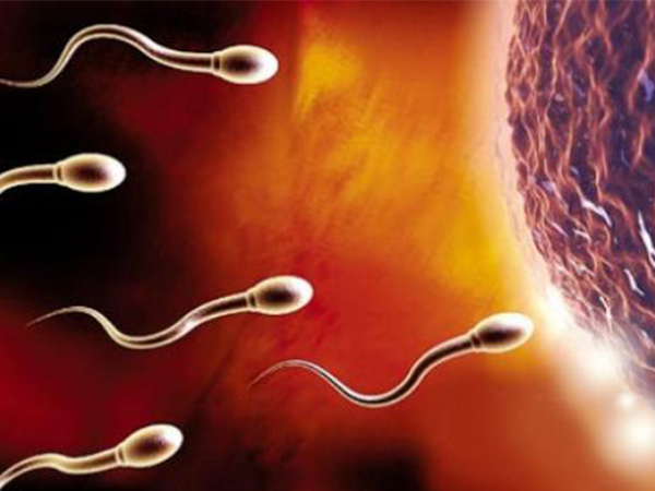 禁欲久了y精子数量会变多？医生：只会影响质量