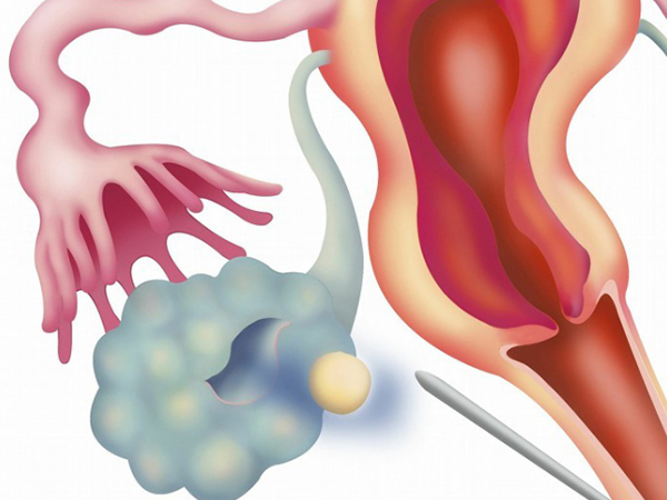 一年内取卵次数切忌太多，每次间隔时间不得低于四个月