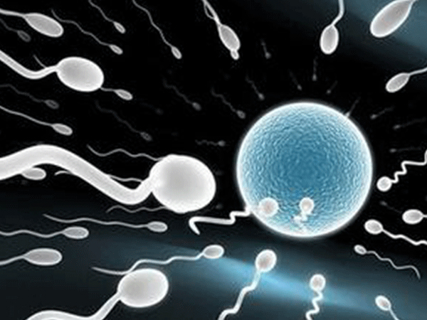 女方申请使用精子库有前提，提供结婚证只是基础条件