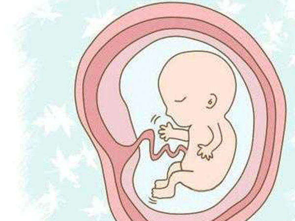 剖析二胎容易胎位不正的原因，臀位竟是羊水太多的锅？