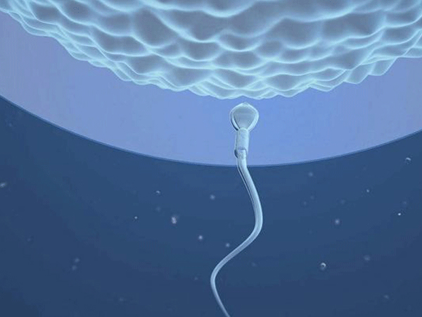 解读精子abcd活力正常参考值，低于80%的男性可要注意了