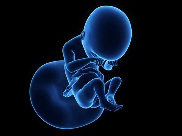 火棉胶婴儿也能大概率存活，做好这些护理成长也无碍