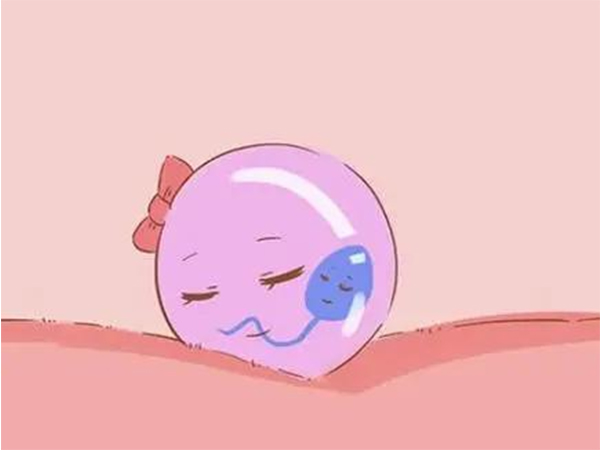 带你解读鲜胚级别划分，想要最好的胚胎就别考虑三四级了