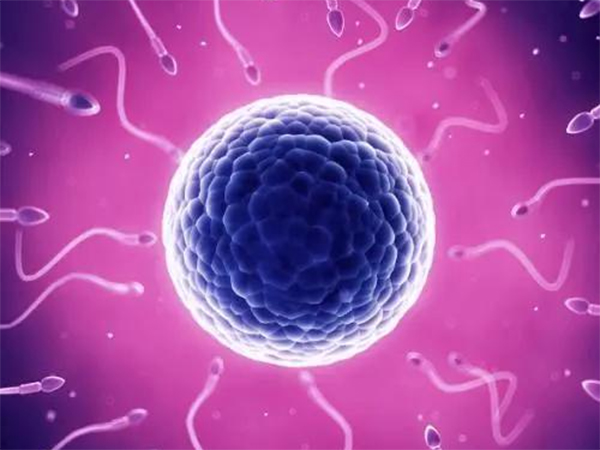 解读供精试管全流程，这九个步骤一个也不能少