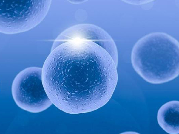 50岁失独母亲做供卵试管婴儿终成功，适不适合只看这三点