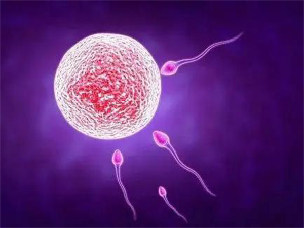 失独家庭享受试管婴儿优惠政策有条件，年龄达标是基本要求