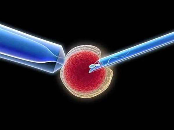 借卵生子之前要谨慎，这些后患及弊端一定得考虑清楚